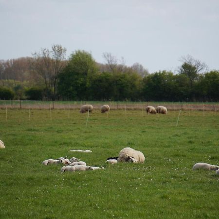 De Wijde Verten Oostkapelle Exterior foto