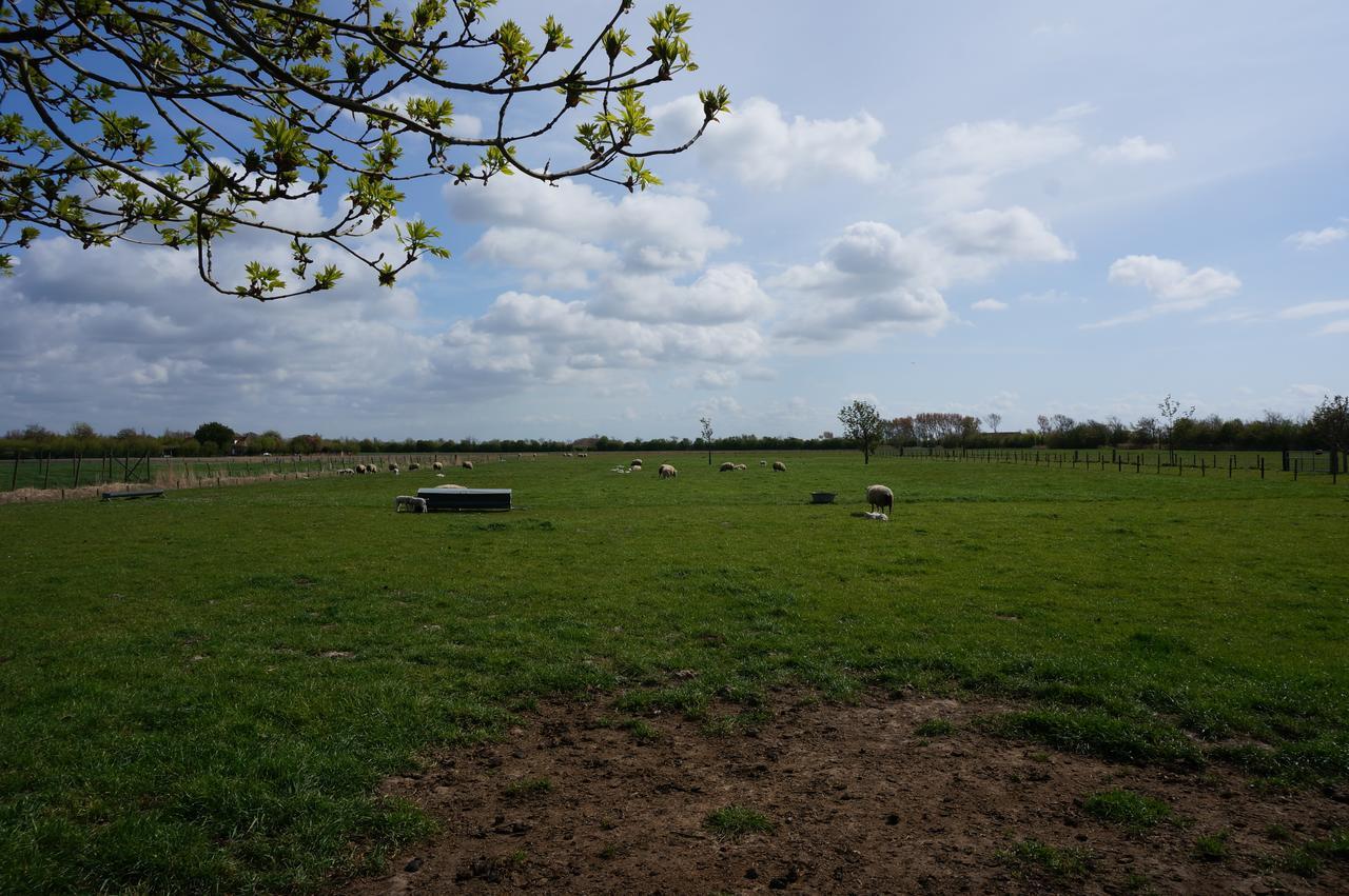 De Wijde Verten Oostkapelle Exterior foto
